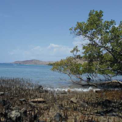 Timor-Leste: Sus­tain­able coasts through par­ti­cip­at­ory con­ser­va­tion