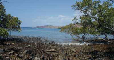Coastal area of Timor-Leste