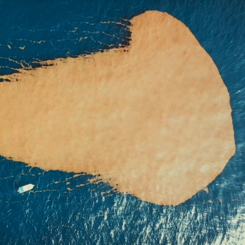 Für das Meer Für das Meer