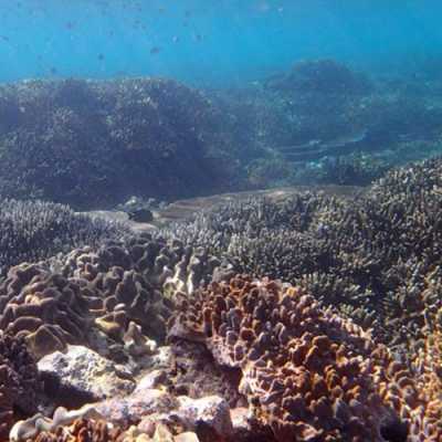 Papua Nueva Guinea: Conservación marina y turismo de naturaleza