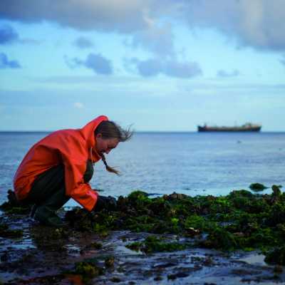 Internacional: Slow Food Campaign - Comprender los mares