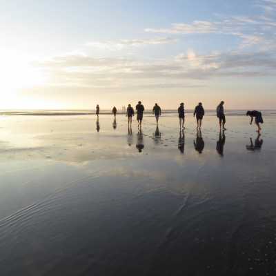 International: Beachexplorer & Balticexplorer – what you can find on the beach