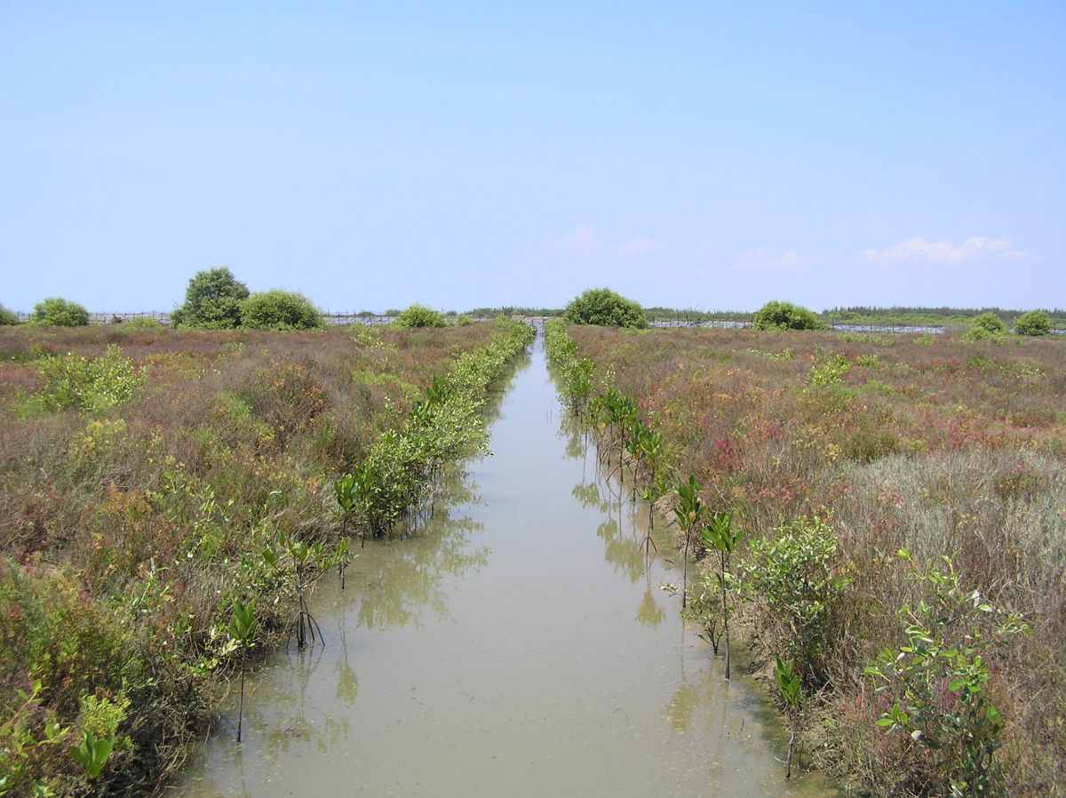 Zustand 2007 Zustand 2007