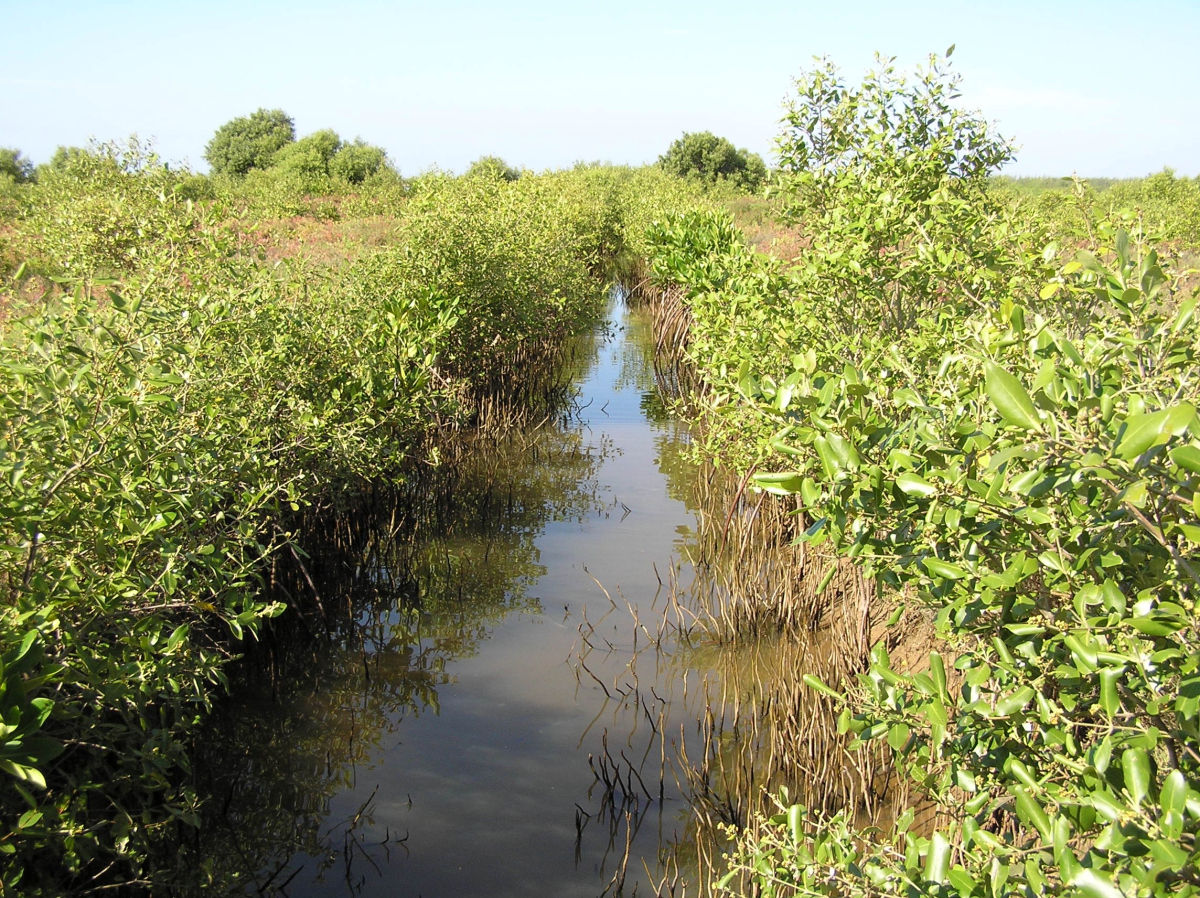 Zustand 2008 Zustand 2008