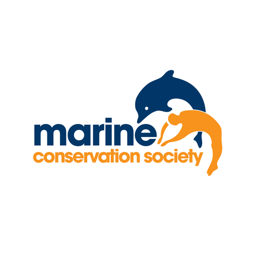 MCS logo MCS logo