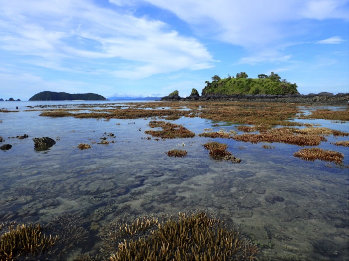 Myanmar coastal area Myanmar coastal area