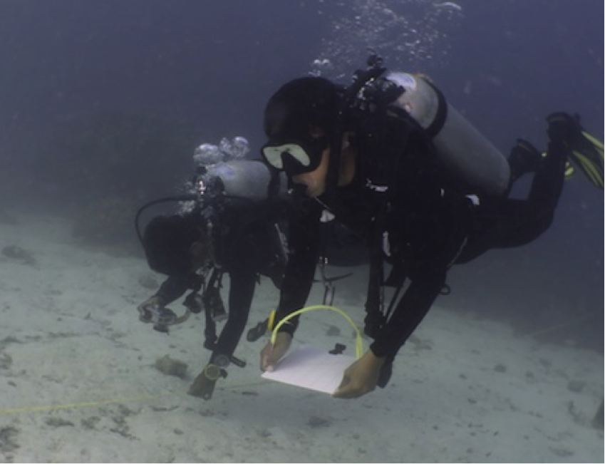 Scuba divers at work Scuba divers at work