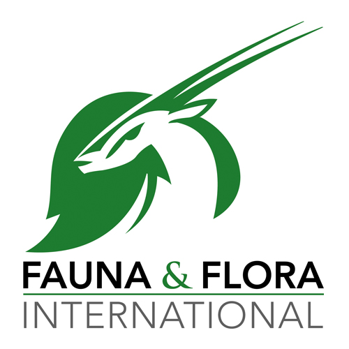 FFI FFI