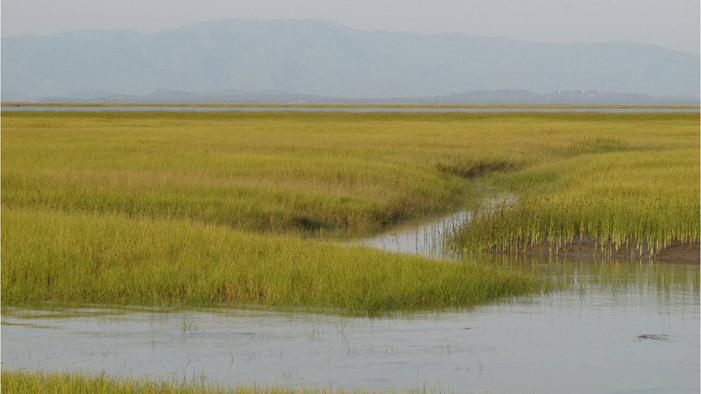 Salzmarschen im Norden Myanmars Salzmarschen im Norden Myanmars
