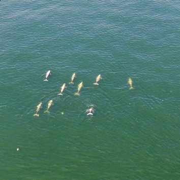 For the Youth For the Youth