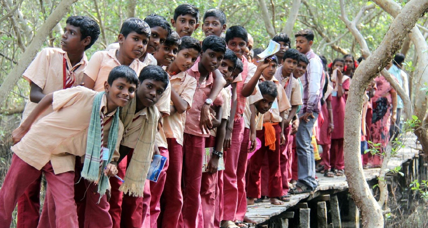 Mangrove Boardwalk Mangrove Boardwalk