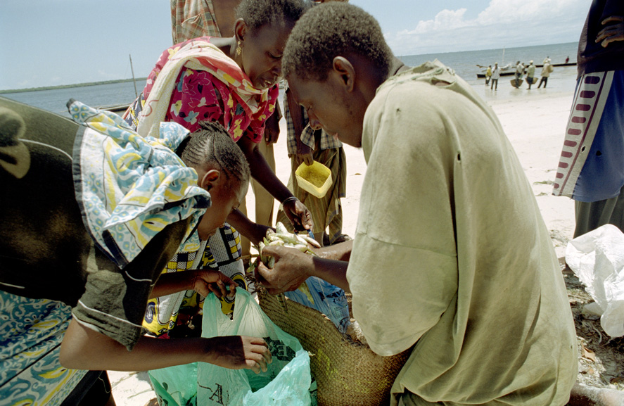 Foto: D.Westerkamp Foto: D.Westerkamp