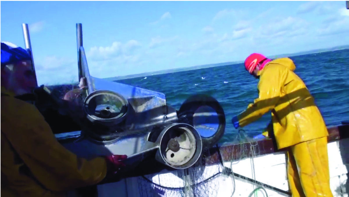 Video documentation can and has benefitted inshore fishers and others with an interest in the fisheries.