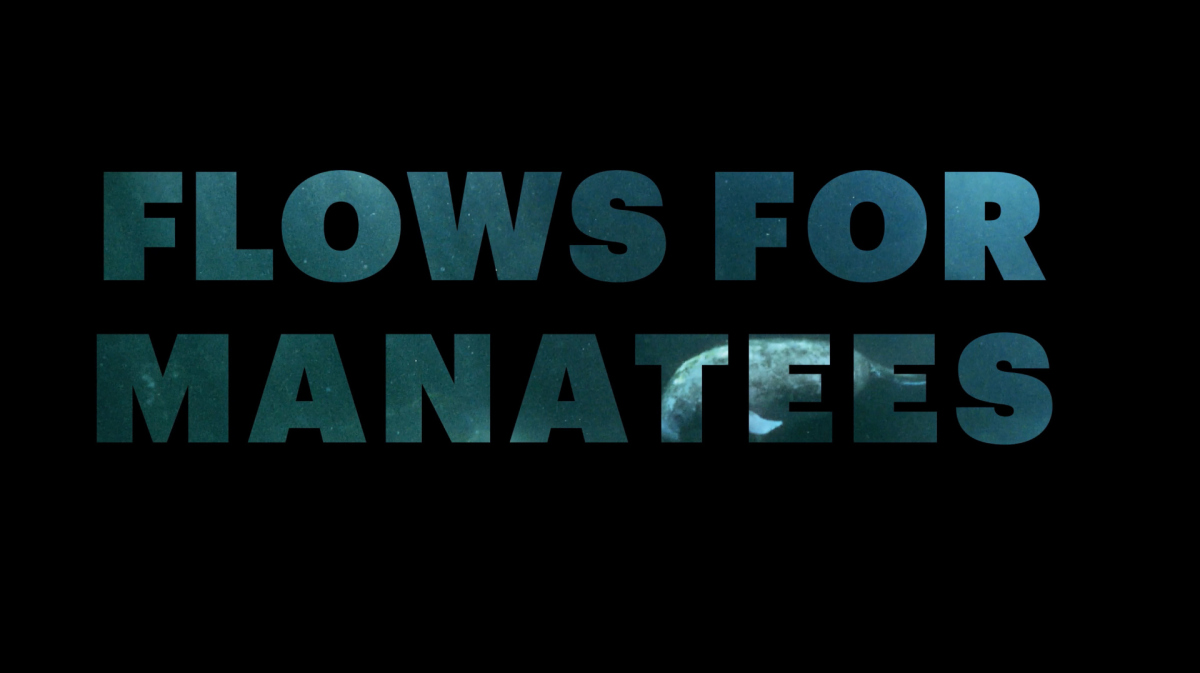 Flows for Manatees