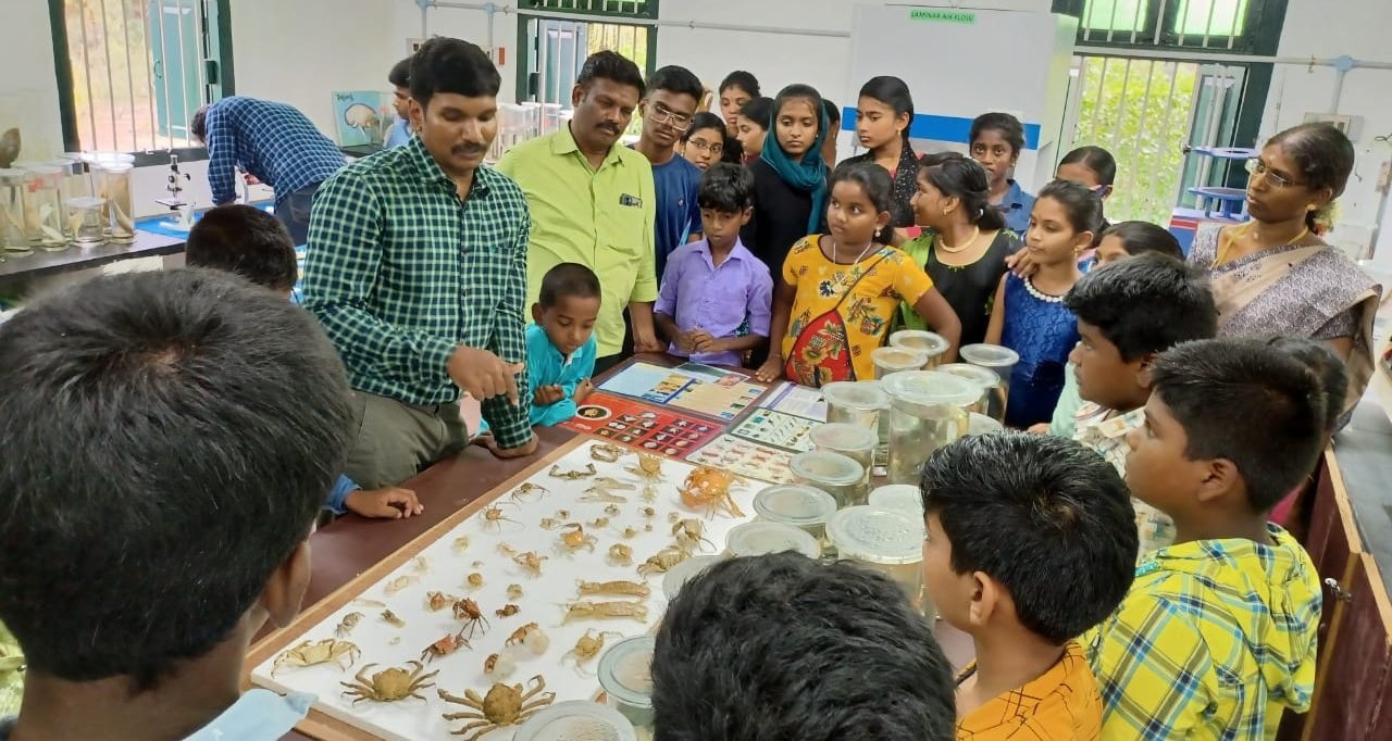 El museo marino del centro de Palk Bay